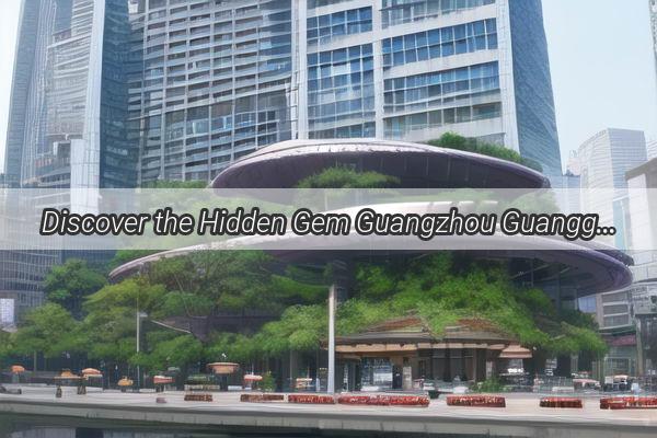 Discover the Hidden Gem Guangzhou Guanggu Middle School at the Heart of Innovation